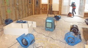 Mold Cleanup In Flooded Living Room