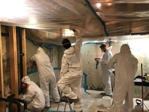 Mold Removal Procedures 