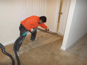 Mold Restoration Expert Cleaning Carpet